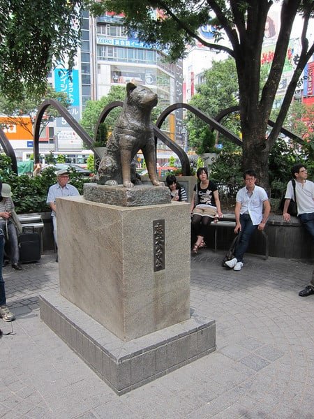 Hachiko Statue at Shibuya Exit