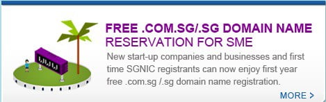 Free COM.SG Domains