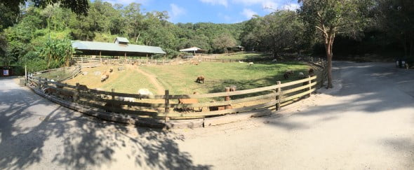 Panorama Photo of Flying Cow Ranch