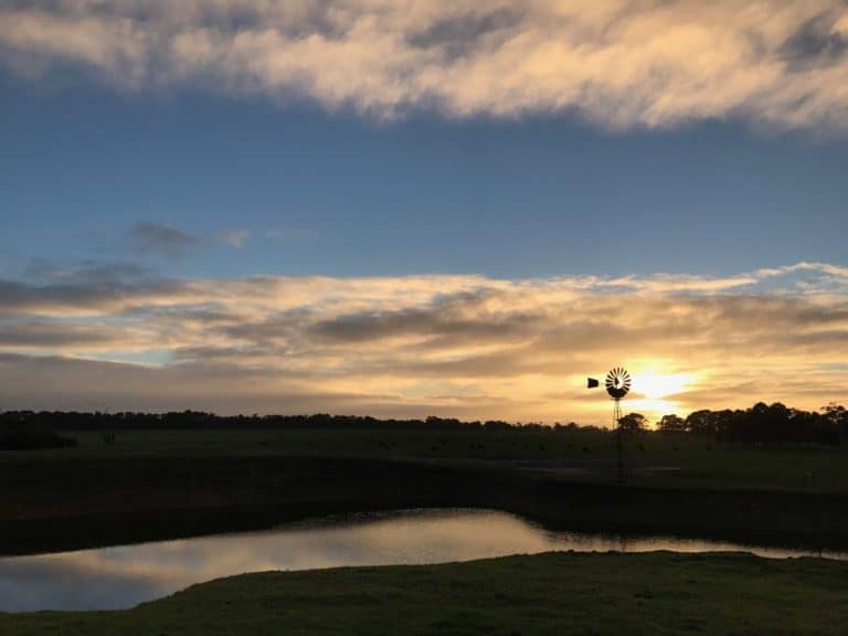 Taunton Farm Holiday Park