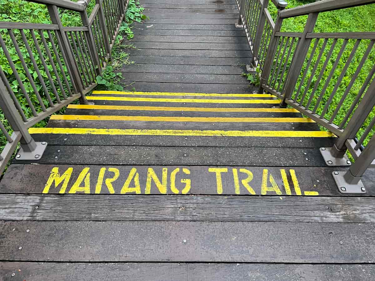 Marang Trail