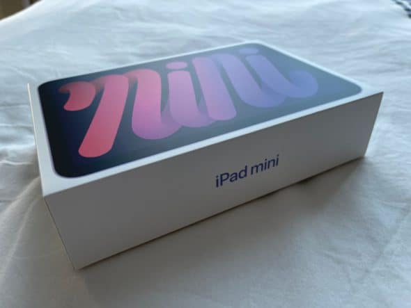 Purple iPad mini 6