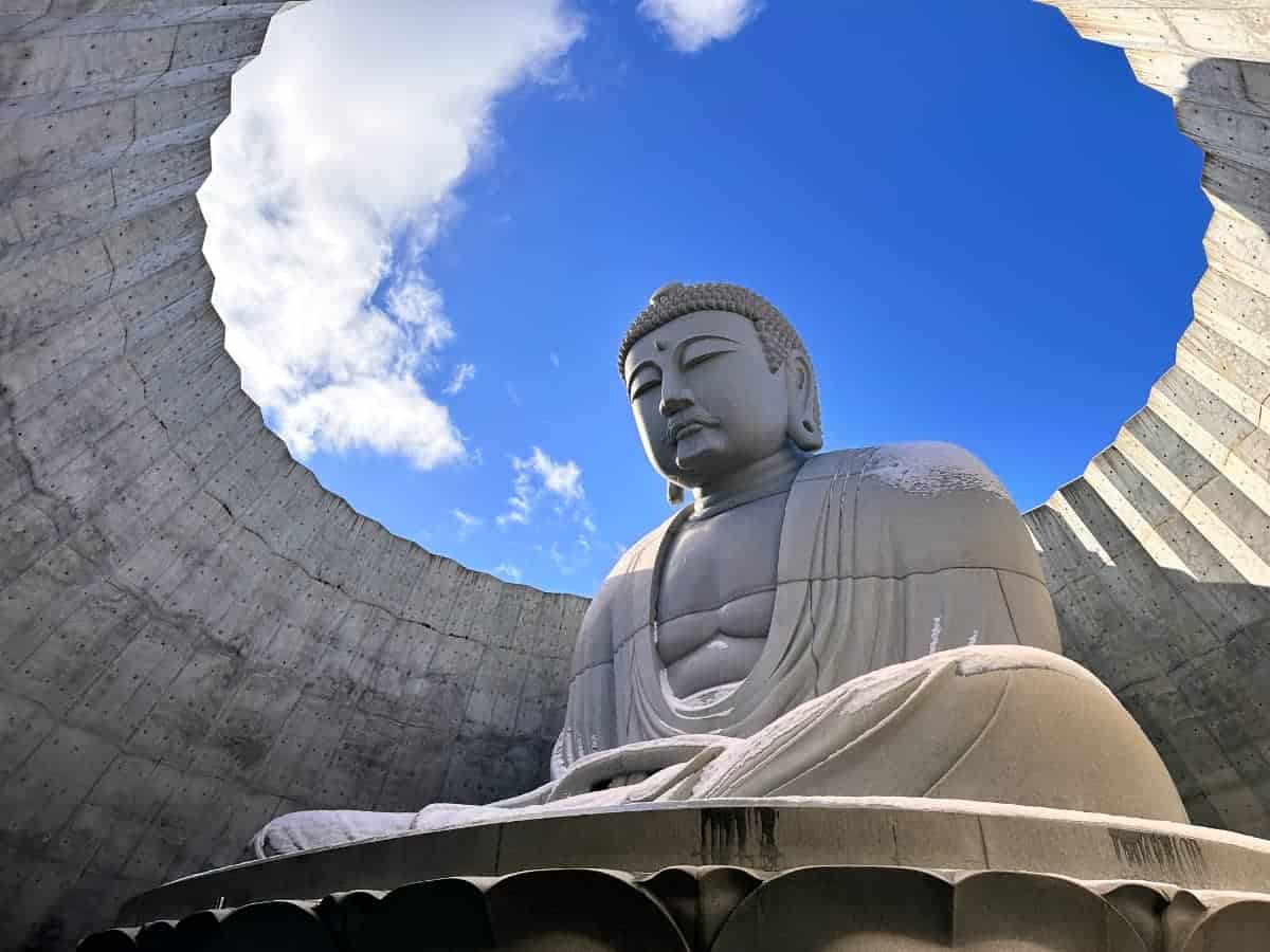 Hill of the Buddha : What an Amazing Visit 1 Hill of the Buddha