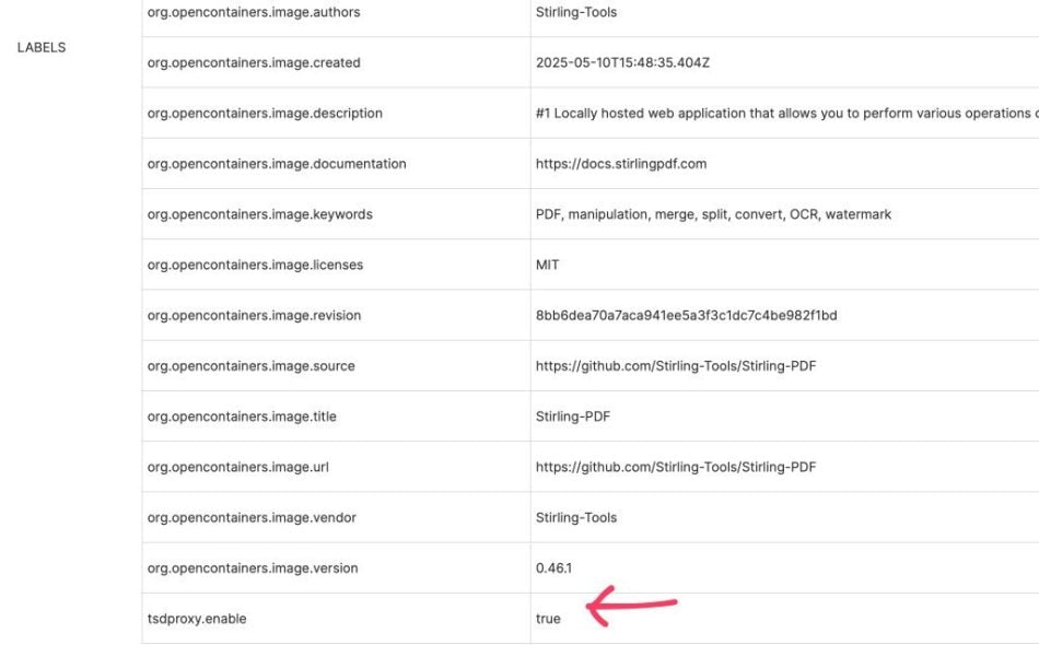Using TSDProxy with existing Dockers in Portainer : Hope This Works 13 Using TSD Proxy with existing Dockers