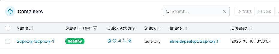 Using TSDProxy with existing Dockers in Portainer : Hope This Works 6 Portainer dashboard showing a healthy TSDProxy container.