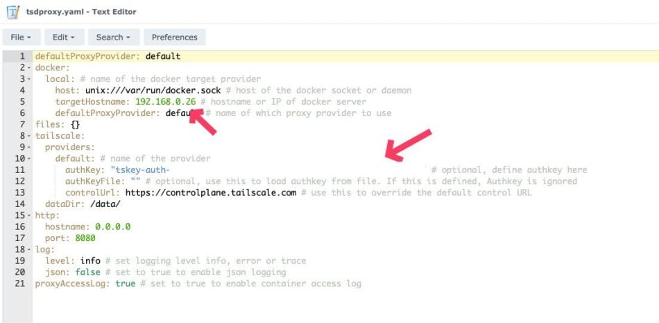 Using TSDProxy with existing Dockers in Portainer : Hope This Works 8 Making changes to /config/tsdproxy.yaml file for TSDProxy