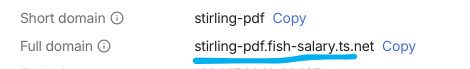 Using TSDProxy with existing Dockers in Portainer : Hope This Works 15 Full Domain in Taillscale Page