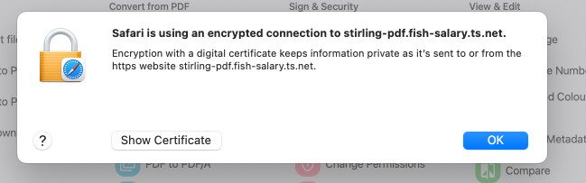 Using TSDProxy with existing Dockers in Portainer : Hope This Works 17 Safari encrypted connection notice with security certificate options