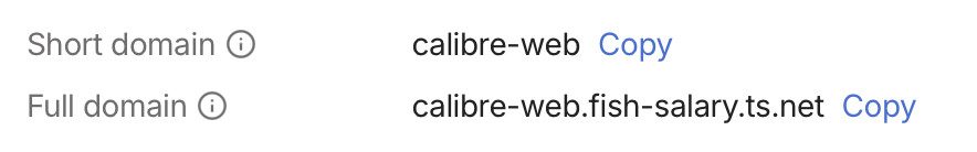 Using TSDProxy with existing Dockers in Portainer : Hope This Works 19 A new URL for my Calibre Web