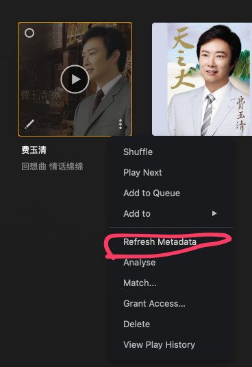 Metadata Remote as a Docker to Update Plex Music Library : GOOD TOOL 11 Screenshot showing a music player interface with options to refresh metadata, a key feature of Metadata Remote for updating Plex music libraries.