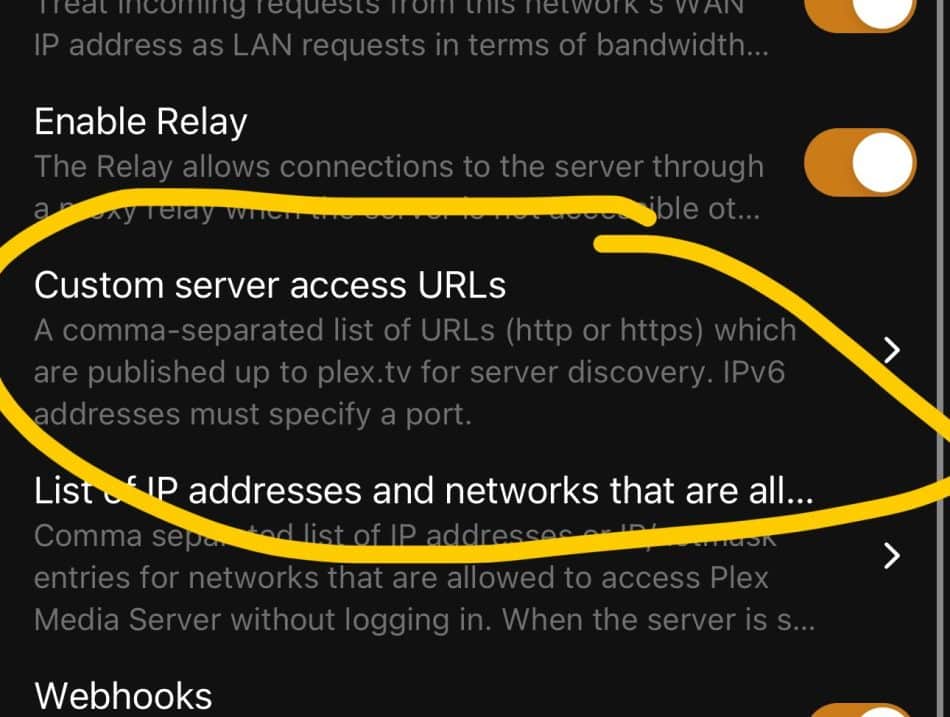 WiiM Ultra Music Streamer : Beautiful with Album Art 41 Using Custom Server Access URLs with Tailscale Magic DNS