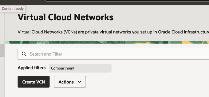 Oracle Cloud Virtual Cloud Networks (VCN) interface with search, filters, and actions. Pangolin on Oracle Cloud.