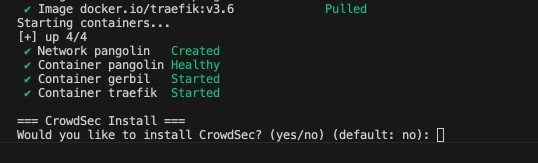 Pangolin installation progress showing network and container status, with a CrowdSec install prompt.