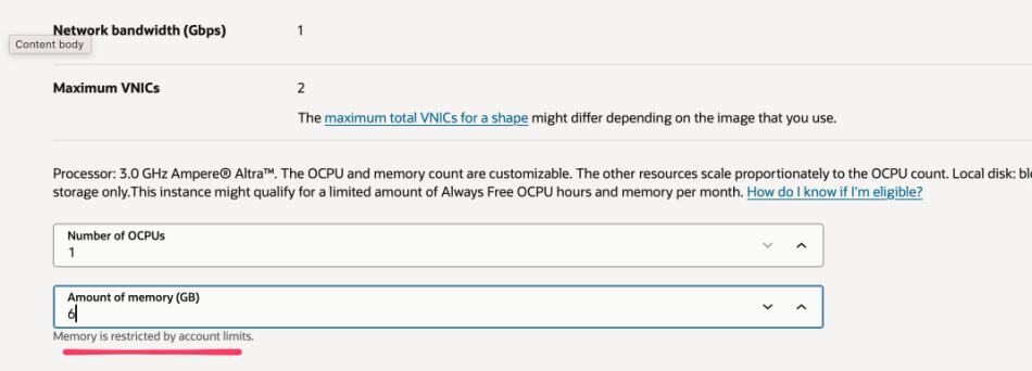 Pangolin on Oracle Cloud: Instance configuration showing OCPU and memory limits.