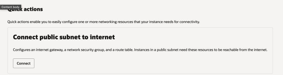 Oracle Cloud quick action: Connect public subnet to internet. Configures network resources.