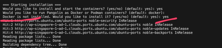 Installing Pangolin on Oracle Cloud: Docker installation prompt and package list updates.