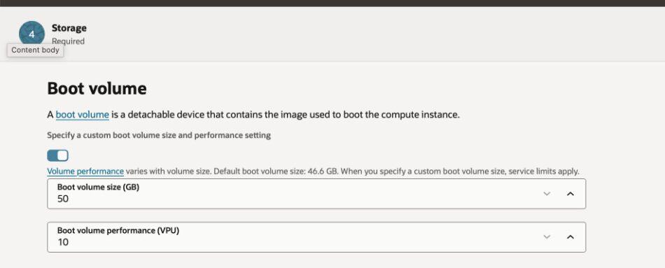 Pangolin on Oracle Cloud: Boot volume configuration with 50GB size and 10 VPU performance.