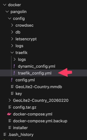Pangolin on Oracle Cloud: Directory structure showing Traefik configuration files.
