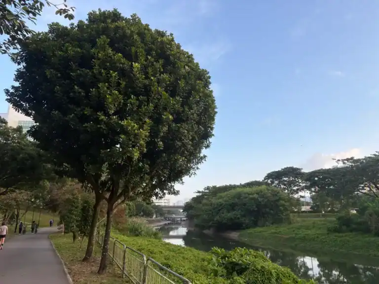 Ulu Pandan PCN: Path along canal with lush greenery and trees.