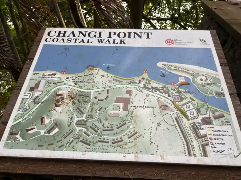 Changi Point Coastal Walk