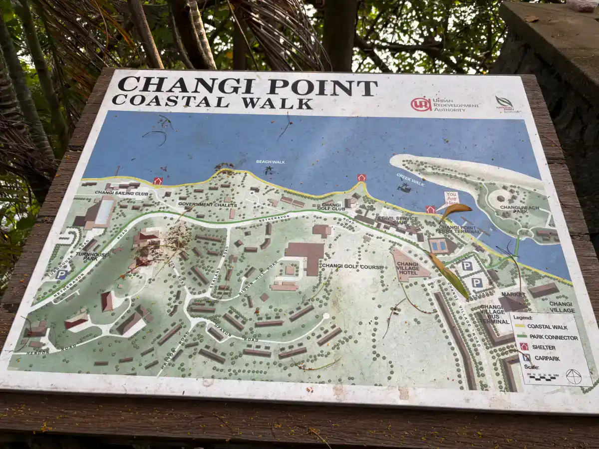 Changi Point Coastal Walk : 3/4 Closed in 2026 : Disappointing 1 Changi Point Coastal Walk