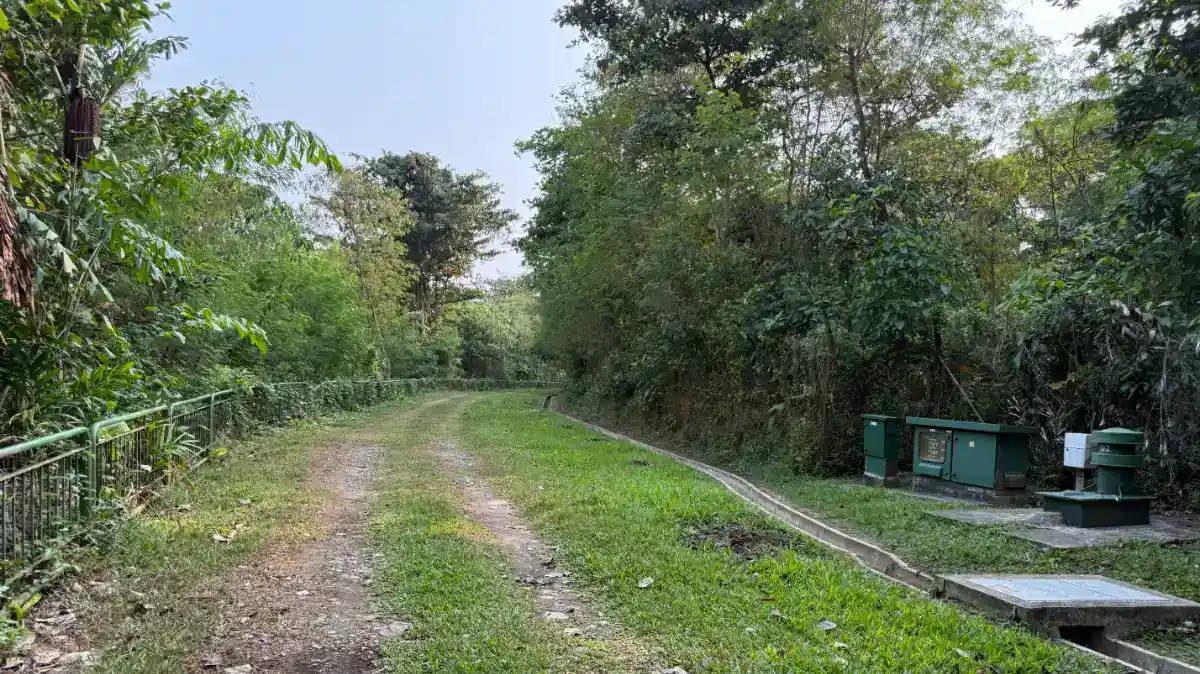 Buangkok Forest and Sungei Serangoon Park Connector : A loop of two contrasts 1 Buangkok Forest