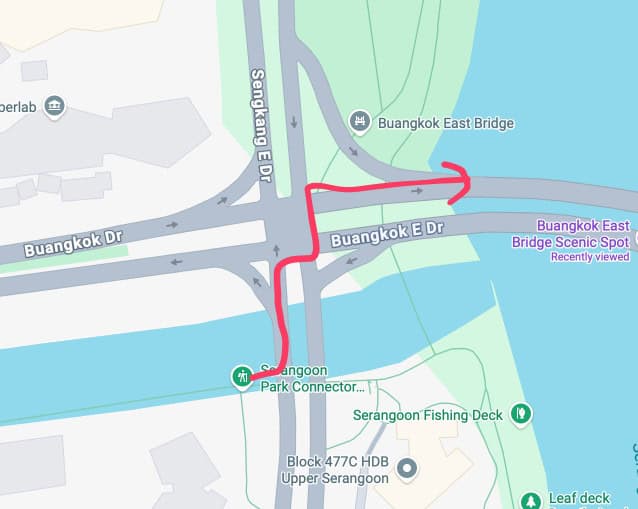 Buangkok Forest and Sungei Serangoon Park Connector : A loop of two contrasts 16 Crossing the road junction